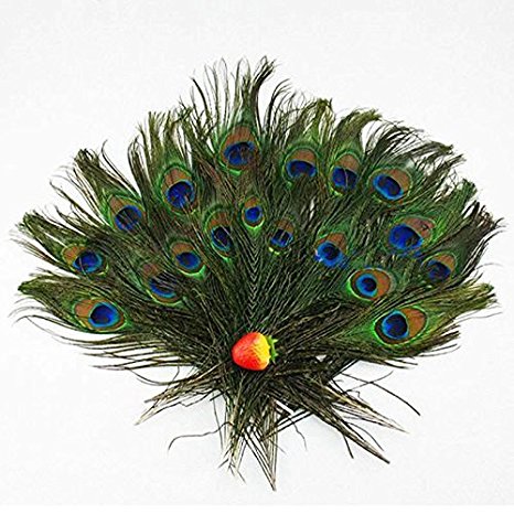 Herebuy8 40pcs Real Natural Peacock Tail Eyes Feathers Perfect for Wedding Party Arts And Crafts Home Decorations DIY (40pcs)