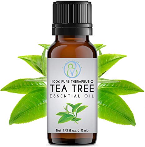 Tea Tree Essential Oil 10 ml - High Quality 100% Pure & Natural Therapeutic Grade Undiluted - Best for Acne, Disinfecting Small Cuts & Toenail Fungus