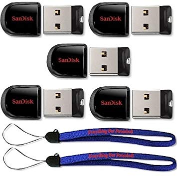 SanDisk Cruzer Fit 64GB (5 Pack) USB 2.0/3.0 Flash Drive Jump Drive Pen Drive SDCZ33-064G - w/ (2) Everything But Stromboli (tm) Lanyard