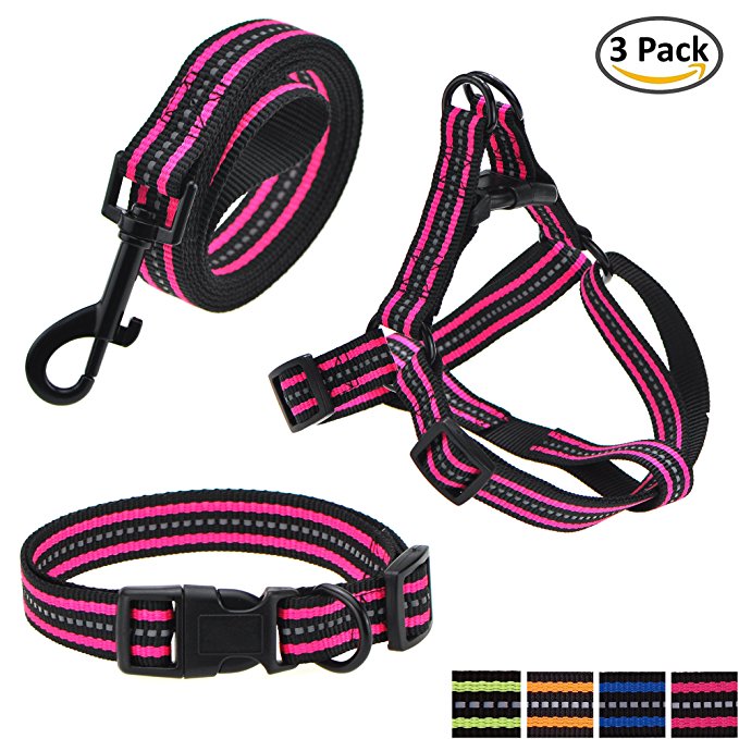 Mile High Life Night Reflective Double Band Nylon Small Animal Pet Dog Adjustable Collar, Leash, Harness or Combo Set