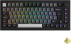 Akko 5075B Plus Gasket-Mounted Kabellos Mechanische Tastatur, 3-Modus 75% DE/UK Layout Gaming Keyboard mit Swappable Linear Switch, Cherry PBT Tasten, Drehknopf für Win/Mac (Schwarz & Silber)