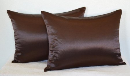 Creative 2 Pieces of Hidden Zipper Satin Pillow Case, King Size , Brown
