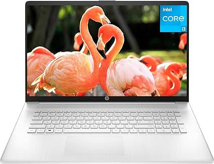 HP 2023 Newest 17.3" Flagship HD  Business Laptop, Intel Core i3-1125G4(Beat i5-1035G4), 16GB DDR4 RAM, 1TB SSD, Intel UHD Graphics, Bluetooth, HDMI, Anti-Glare, Webcam, Windows 11 Home in S Mode