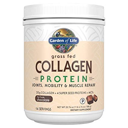 Garden of Life Grass Fed Collagen Protein Powder - Chocolate, 14 Servings, Collagen Powder for Joints Mobility Muscle Repair, Collagen Peptides Super Seeds Coconut MCTs, Keto Collagen Supplements