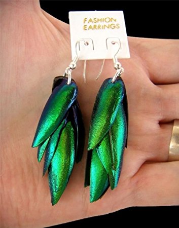 jewel beetle bug insect wings iridescent blue green earrings new