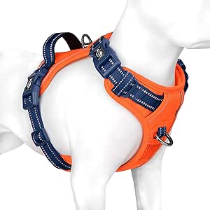 PHOEPET No Pull Dog Harness, Unique Colors Reflective Adjustable Dog Vest, with Soft Training Handle Metal Clips for Small Medium Large Dogs (Orange Base & Blue Straps,L)