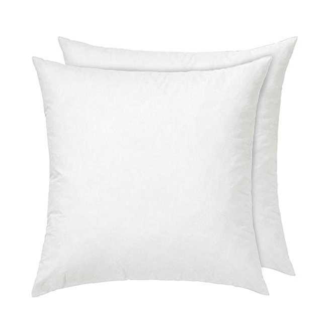 Fasisa Premium Hypoallergenic Throw Pillow Insert Sham Square Form Polyester (2, 20"x20")
