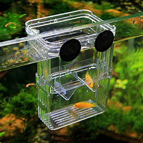 Petzilla PBI-1 Aquarium Fish Breeder Box for Hatchery