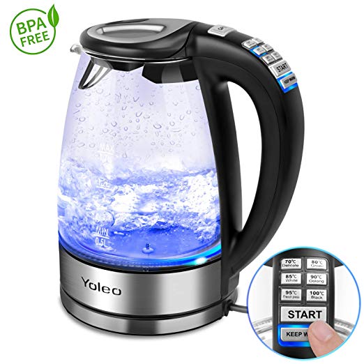 Electric Glass Kettle with Temperature Control, Yoleo 1.7L Blue Illumination LED Water Kettle Cordless, 2000W Fast Boil Tea Filter Kettle, STRIX Control -Auto Shut Off & Overheating Protection, BPA Free, Glass Silver