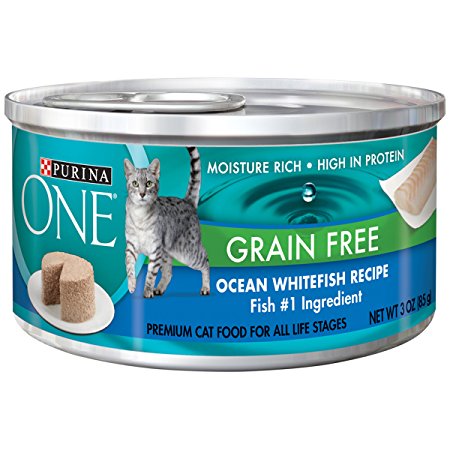 Purina ONE Grain Free Formula Classic Beef Recipe Premium Pate Cat Food - (24) 3 oz. Cans