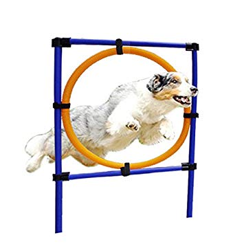 Yunt Dog Agility Training Obedience Jump Hurdle Pet Sports Equipment Training Toys Training Hoop Set Dogs High Jump Outdoor Jumping Through a Circle