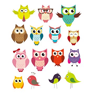 PARLAIM 0043 Owl and Bird Animal Wall Stickers,Peel and Stick Removable Wall Decals for Kids Nursery Bedroom Living Room