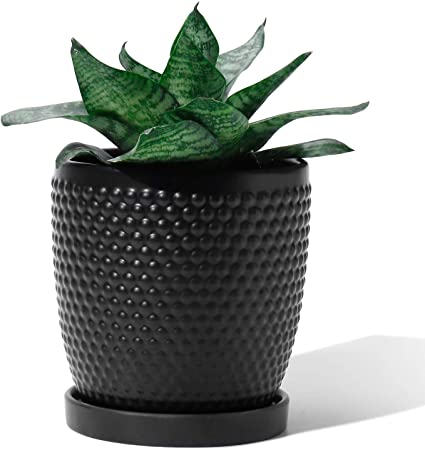 POTEY 053602 Plant Pot with Drainage Hole & Saucer- 5.5 Inch Glazed Ceramic Modern Vintage-Style Hobnail Textured Planters Indoor Bonsai Container for Plants Flower(Matte Black, Plants Not Included)