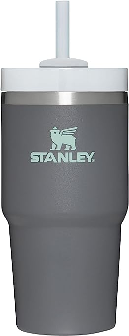 Stanley Quencher H2.0 FlowState Stainless Steel Vacuum Insulated Tumbler with Lid and Straw for Water, Iced Tea or Coffee, Smoothie and More 20oz - New Version