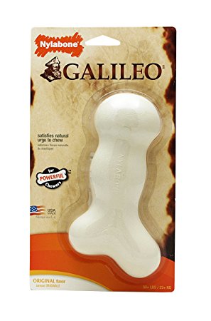 Nylabone Galileo Original Flavored Dog Chew Toy