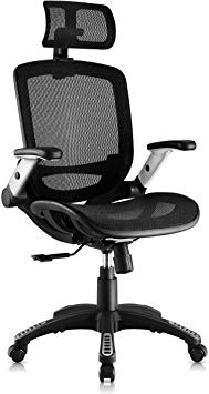 Gabrylly Ergonomic Mesh Office Chair, High Back Desk Chair - Adjustable Headrest with Flip-Up Arms, Tilt Function, Lumbar Support and PU Wheels, Swivel Computer Task Chair