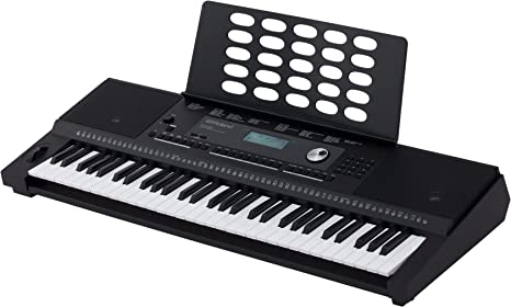 Roland EX-20 Arranger Keyboard With Carry Bag & Free Musical Scales Tutorial Book
