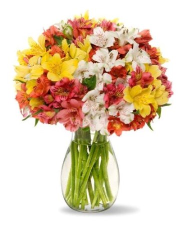 Benchmark Bouquets Assorted Peruvian Lilies, With Vase