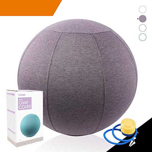 Sport Shiny Classic Balance Ball Chair,Exercise Stability Yoga Ball With Machine Washable Slipcover,Ergonomic Sitting Ball Chair for Multiple Appliances,55cm Size,English Violet,Quick Pump&Instruction