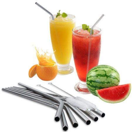 Quilliances Stainless Steel Straws, Reuseable and Eco Friendly, Set of 6 with 2 Cleaning Brushes