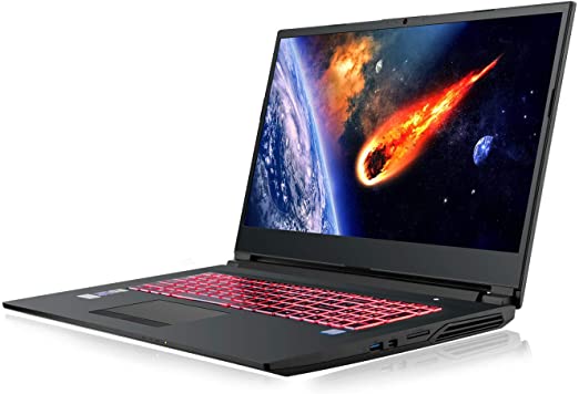 HoMei 32GB DDR4 RAM, 6 Core 10th Gen Intel Core i7-10750H 5.00GHz, 17.3 inch FHD 144Hz IPS Display, NVIDIA RTX 2060 6GB GDDR6 Graphics, 512GB SSD, 1 TB HDD, Backlit Keyboard, Gaming Notebook Laptop PC