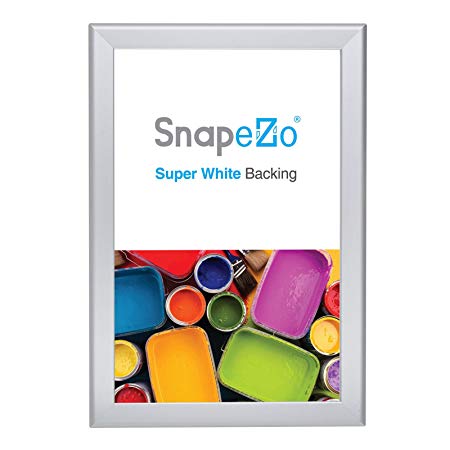 SnapeZo Silver Poster Frame 13x19 Inches, 1.25" Aluminum Profile, Front-Loading Snap Frame, Wall Mounting, Professional Series