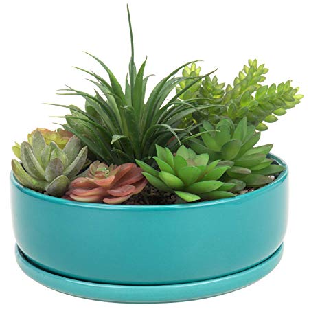 MyGift 8-inch Turquoise Ceramic Round Succulent Planter Pot with Removable Saucer
