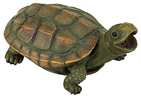 Design Toscano QM75110551 Sprinke The Turtle Piped Spitter Statue, Full Color