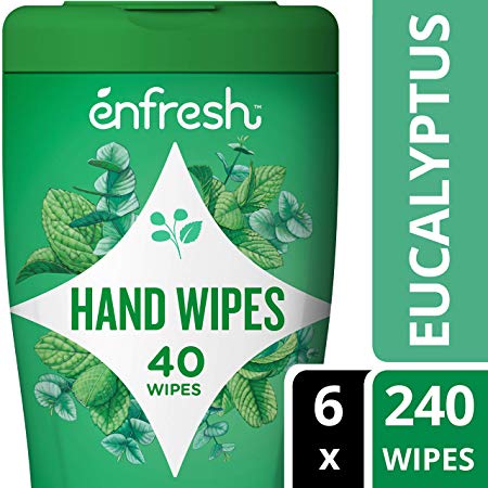 Enfresh Fragrance Free Naturally Derived Hand Wipes - Wipes Away 99.9% of Germs - 40Count (Pack of 6, 240 Wet Wipes), White