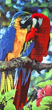 Macaws Velour Brazilian Beach Towel 30x60 Inches