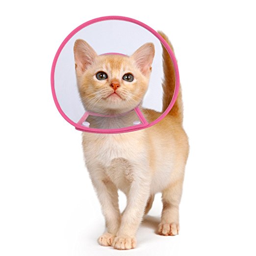 Recovery Collar Cone, PETBABA Clear Padded Elizabethan Collar for Puppy Kitten