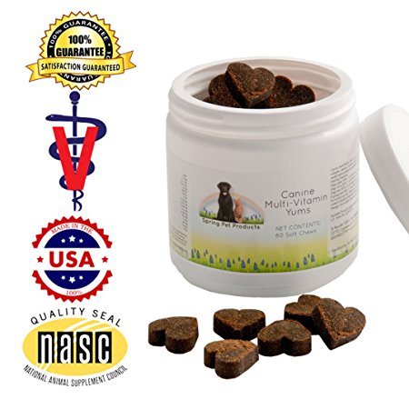 Spring Pet Canine Multi-Vitamin Yums ~ Formulated with a Comprehensive Blend of Complete Vitamins and Minerals ~ Natural Bacon Flavoring ~ For Use in Dogs and Puppies Only ~ Made in USA ~ Recommended by Veterinarians