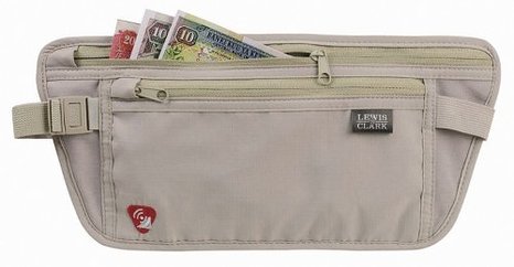 RFID Safe Money Belt Hidden Waist Stash Wallet
