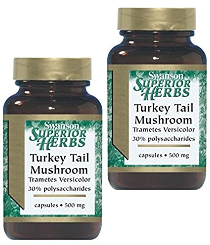 Swanson Superior Herbs Turkey Tail Mushroom 500mg -- 2 Bottles each of 120 Capsules