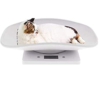 Digital Pet Scale, Abnaok Multi-Function Digital Scale, Smart Pet Dog Cat Scale Measure Weight Accurately (Max:10 kg /22 lb) Perfect for Puppy/Cat/Dog