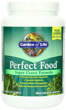 Garden of Life Perfect Food Green 600g Powder