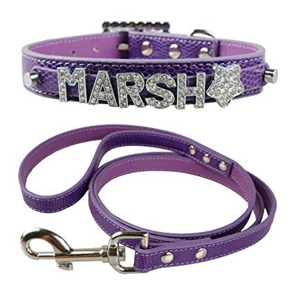 Didog Personalized Small Dog Collar & Leash Set with Free Customized Bling Name Letters and Charms for Youkshire Terrier,Shih tzu