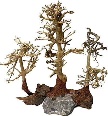 kathson Driftwood Aquarium Tree Decoration Natural Assorted Branches Ornament Handcrafted Fish Tank Decoration Help Balance Water pH Levels