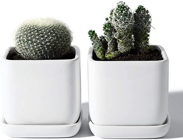 POTEY Square Succulent Plant Pot - 3.5 Inch White Ceramic Small Planters for Cactus Succulent with Drainage Hole & Saucer, Set of 2