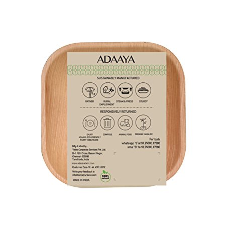 Adaaya Palm Leaf Plates 4 Inch Square Natural & 100% Compostable - Best Disposable Party Plates - 25 Count