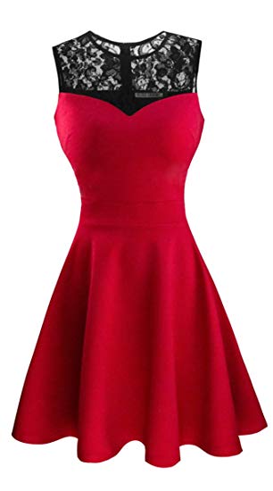 Sylvestidoso Fashion Women's A-Line Pleated Sleeveless Little Cocktail Party Dress with Floral Lace