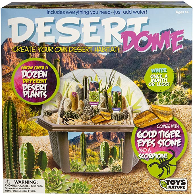 Cactus Succulent Seed Starter Kit - Indoor Desert Starter Kit - Includes Potting Soil, Terrarium, Over A Dozen Desert Plant Seed Packets - DIY Kitchen Grow Kit