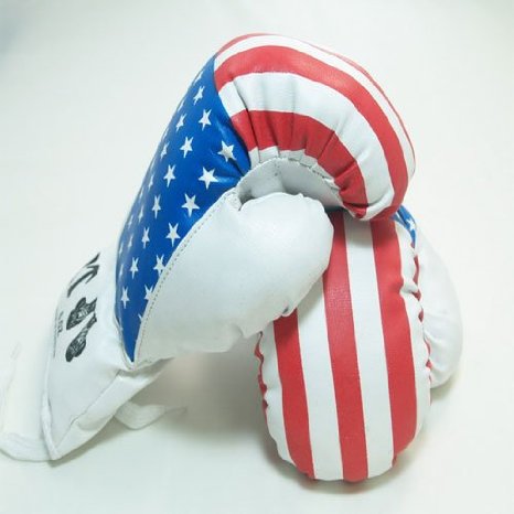 1 Pair USA 16oz Boxing Gloves New Punching Gloves