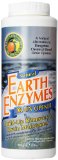 Earth Friendly Products Earth Enzymes Drain Opener  32 Ounce