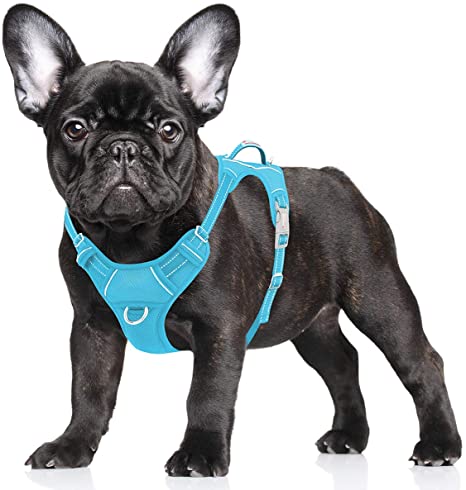 BARKBAY No Pull Dog Harness Large Step in Reflective Dog Harness with Front Clip and Easy Control Handle for Walking Training Running with ID tag Pocket(Ocean Blue,S)