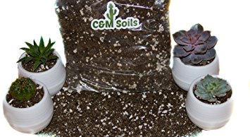 Cactus soil, Succulent soil, Nutritious succulent potting soil, Cactus and Succulent Soil Mix, Indoor Cactus Soil, 2 quart, bundled with white succulent planting pot By C&M Soils
