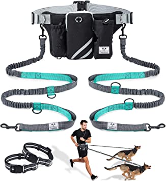 SHINE HAI Retractable Hands Free Dog Leash with Dual Bungees for 2 Dogs up to 150lbs, Adjustable Waist Belt, Reflective Stitching Leash for Running Walking Hiking Jogging Biking