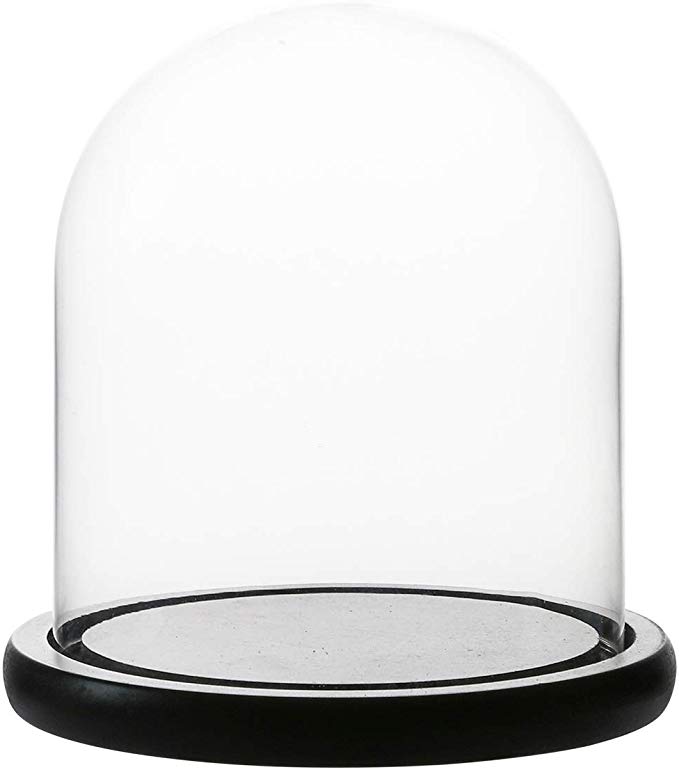Whole Housewares Decorative Clear Glass Dome/Tabletop Centerpiece Cloche Bell Jar Display Case with Black MDF Base, 5.7" D X 6.5" H
