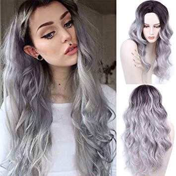 Ombre Curly Silver Grey Wigs For Women, Two Tone Long Synthetic Wigs Natural Heat Resistant Fiber Wigs (26inches, R2/ Gray Ombre)