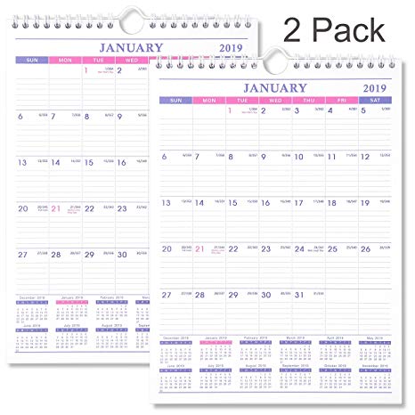 2019 Calendar - 2 Pack Desk/Wall Calendar 2019 for Family and Office, 2019 Monthly Calendar Planner with Bonus Notes Pages, January 2019 - December 2019, Wirebound, 8" x 11" - Poluma